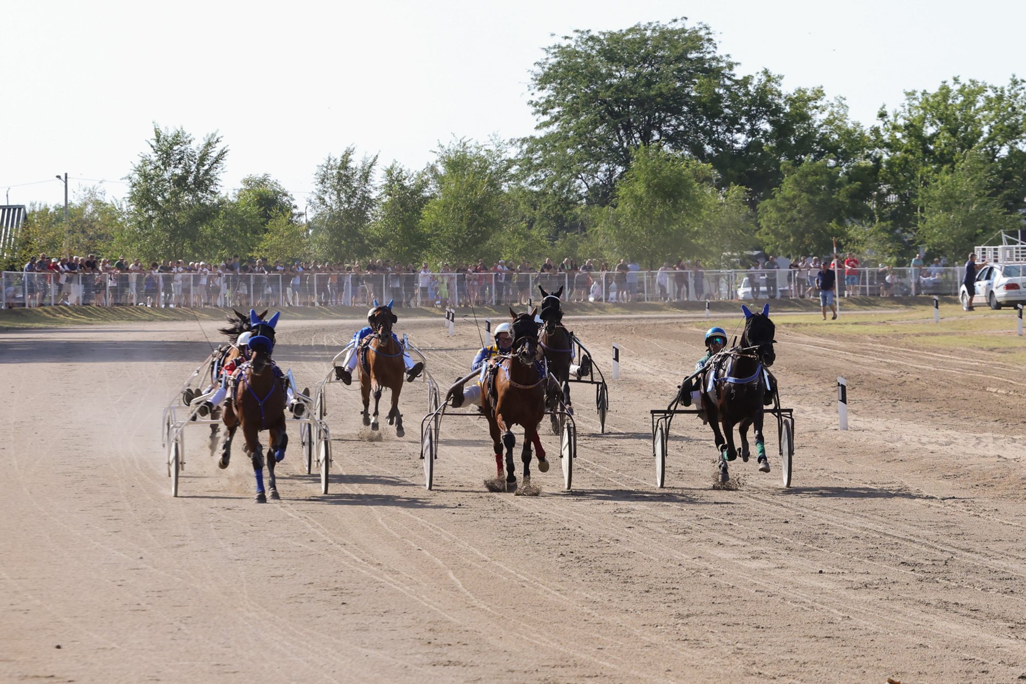Five horses in sulkies racing toward the camera on a dirt track at Subotica hippodrome, spectators behind a fence and trees in the background.