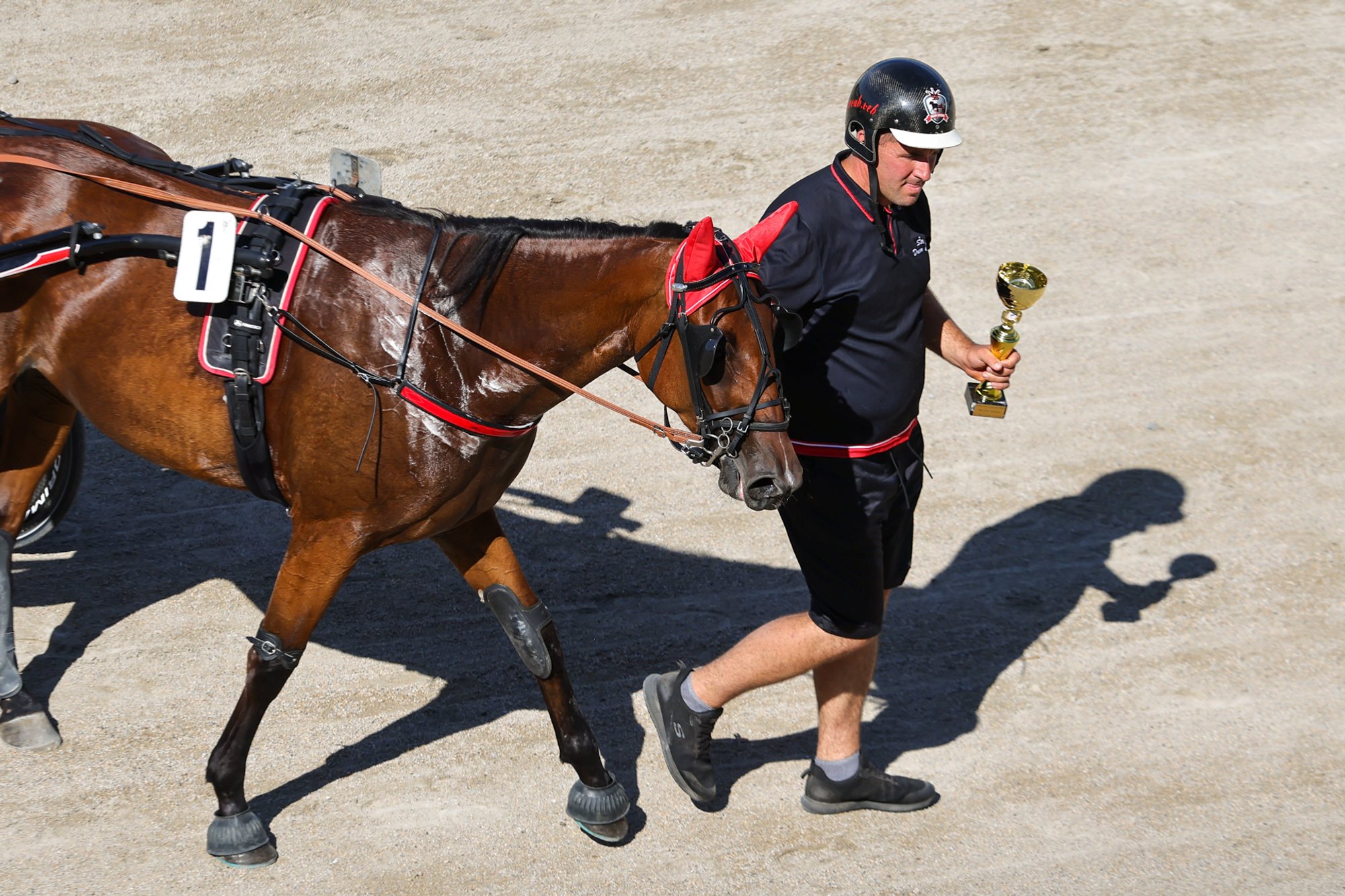 Harnessed trotting horse wearing race number 1 walking on a dirt track beside a helmeted person holding a small trophy.