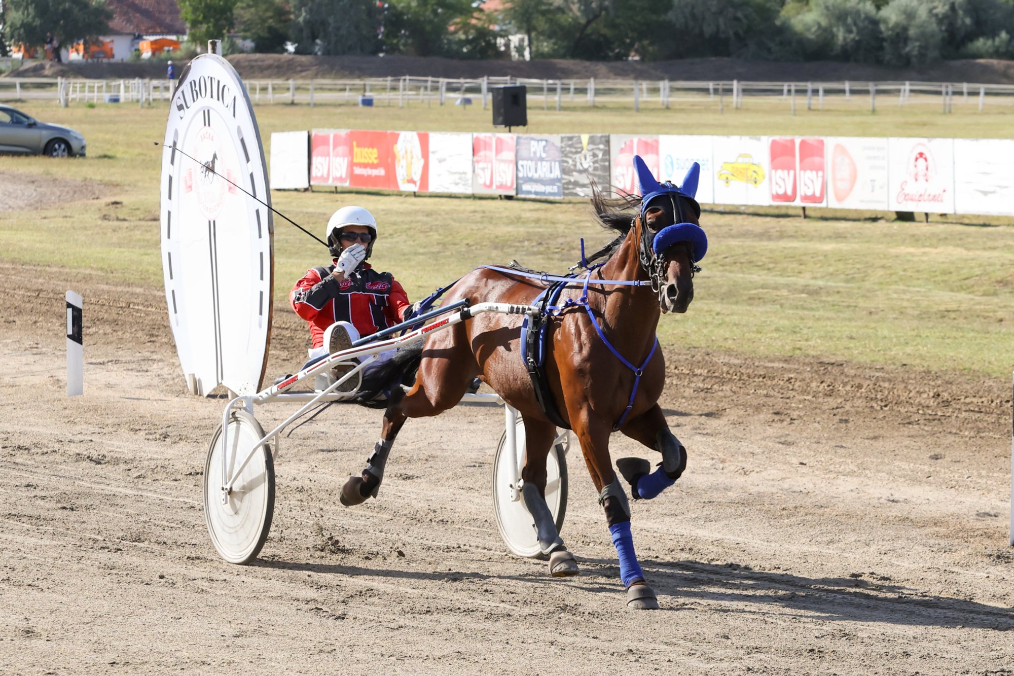 Trotting horse wearing blue blinkers and leg wraps pulling a two-wheeled sulky on a dirt track; a seated person in a white helmet is visible and advertising boards line the infield.
