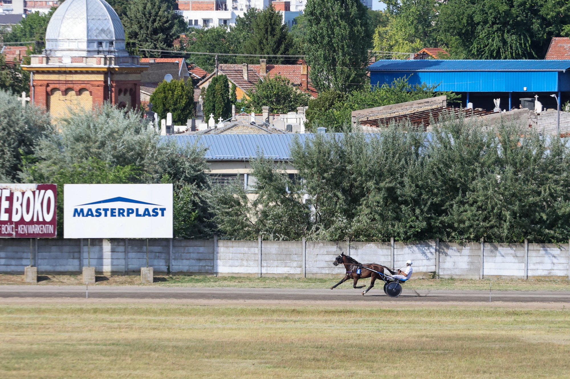 Trotting horse and sulky racing alone on the Subotica hippodrome track with advertising boards and trees behind.