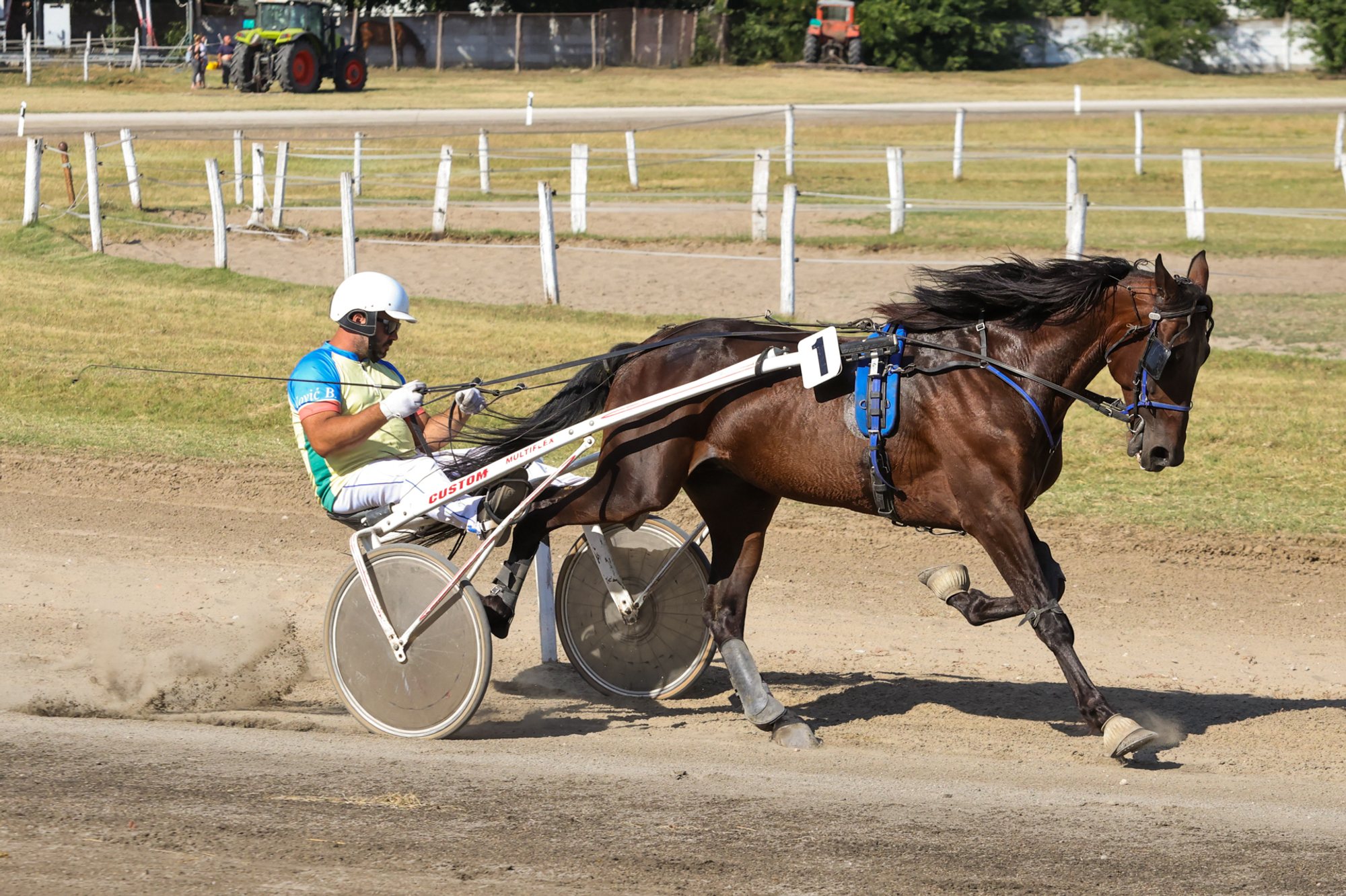 Dark bay trotting horse wearing number 1 pulling a two-wheel sulky with a driver in a white helmet and green-and-blue silks on a dirt racetrack; white inner rail and grassy infield visible.