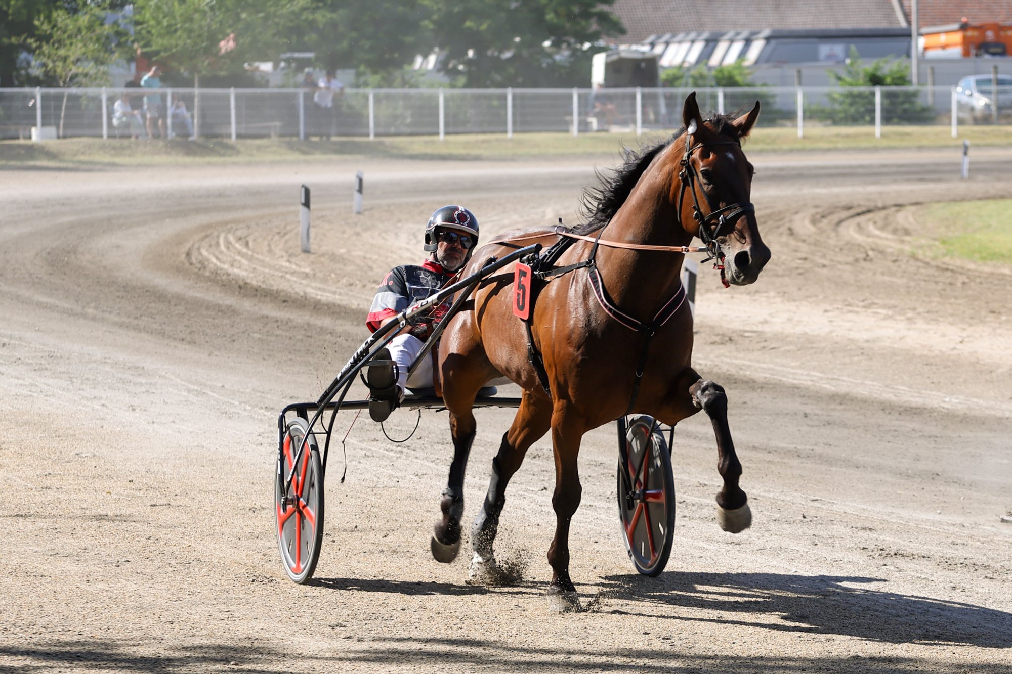 Bay trotting horse pulling a two-wheeled sulky with a seated person on a dirt racetrack, dust rising behind the hooves.