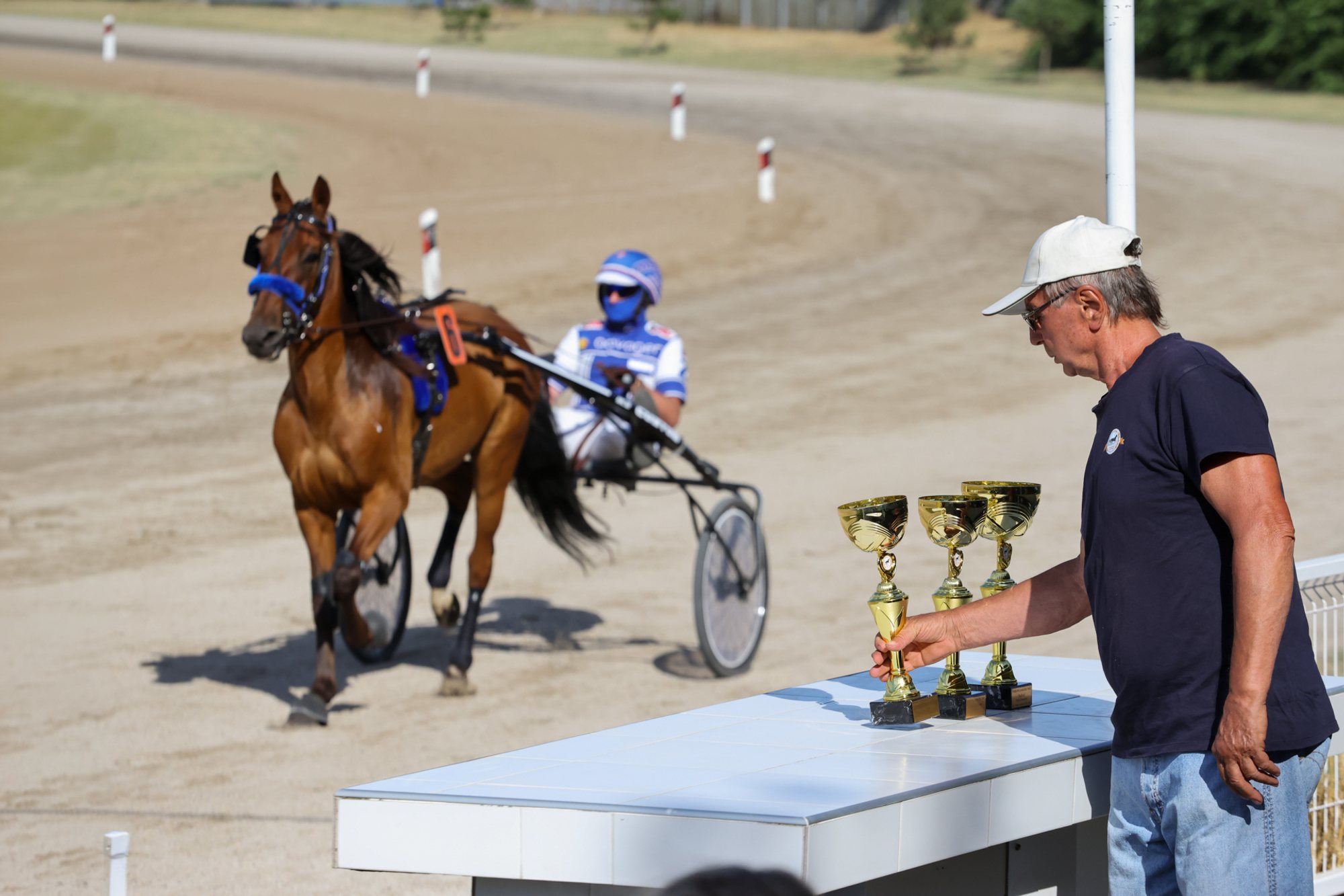 Trotting horse pulling a two‑wheeled sulky with a person in blue‑and‑white racing gear on a dirt track; a man in a cap places three gold cups on a white table at trackside.