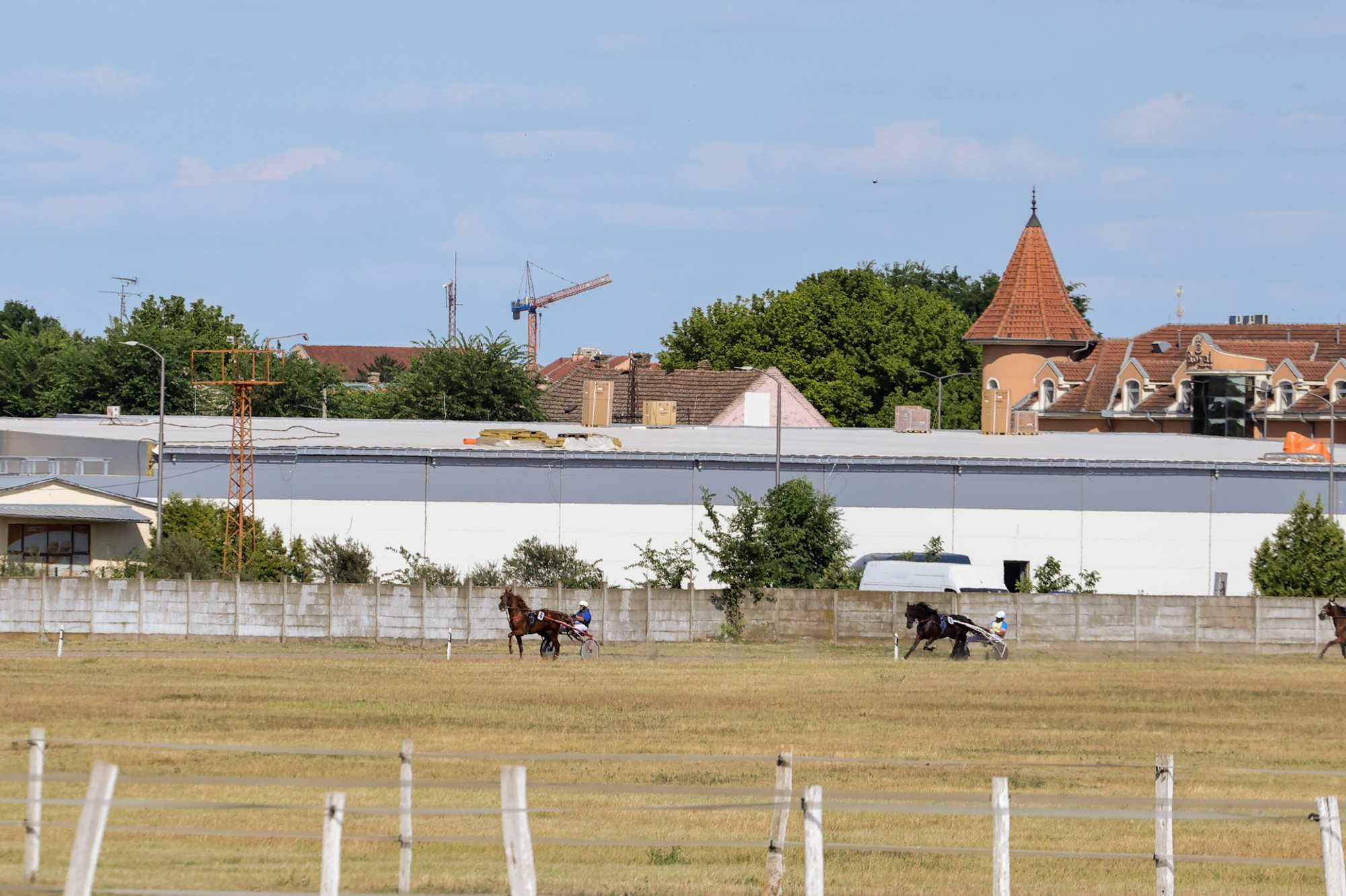 Two trotting horses pulling sulkies on the Subotica hippodrome track, low white rail and city buildings in the background.