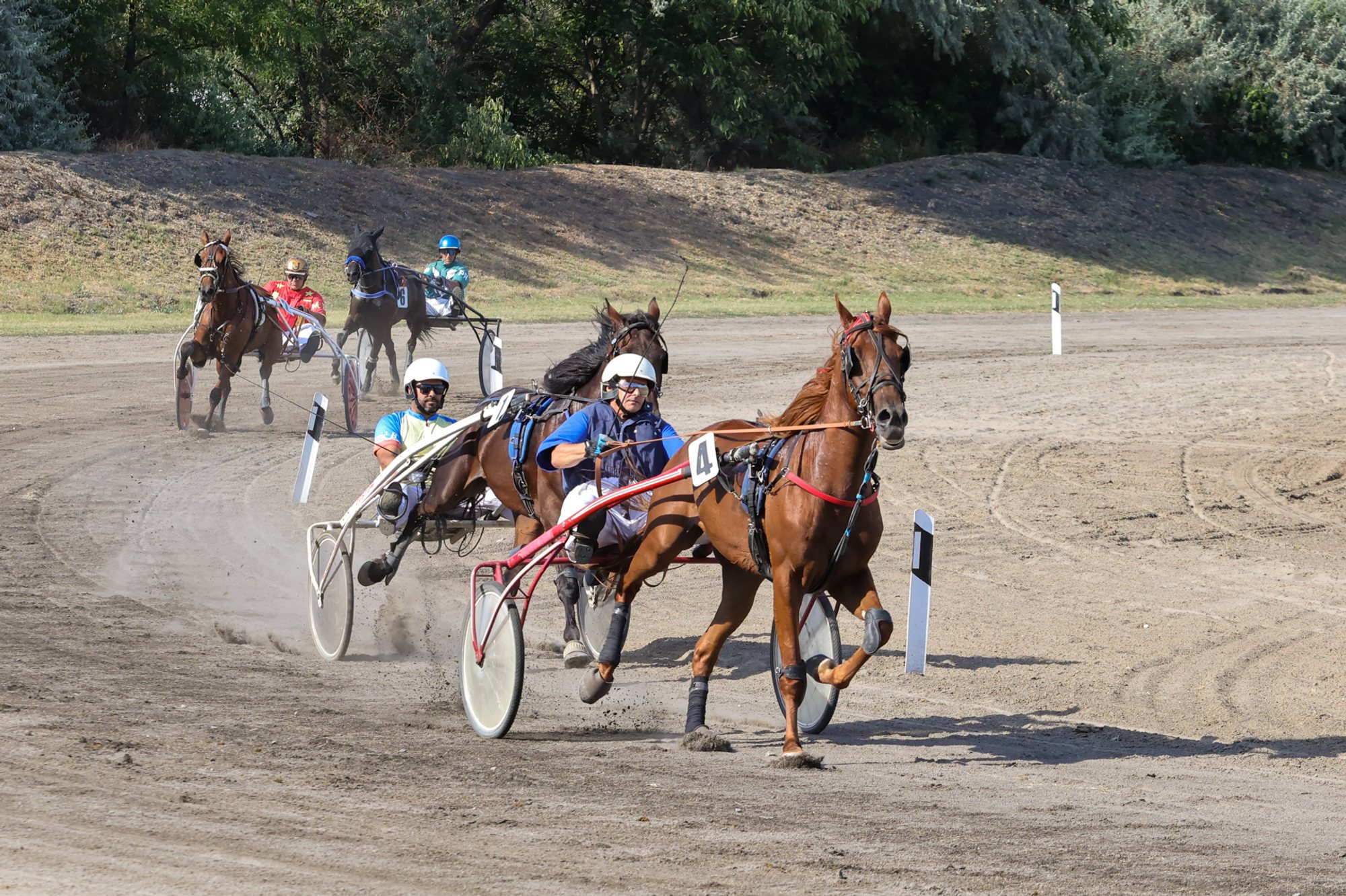Three harness-racing horses pulling sulkies along a dirt track at Subotica hippodrome, dust rising behind the leaders.