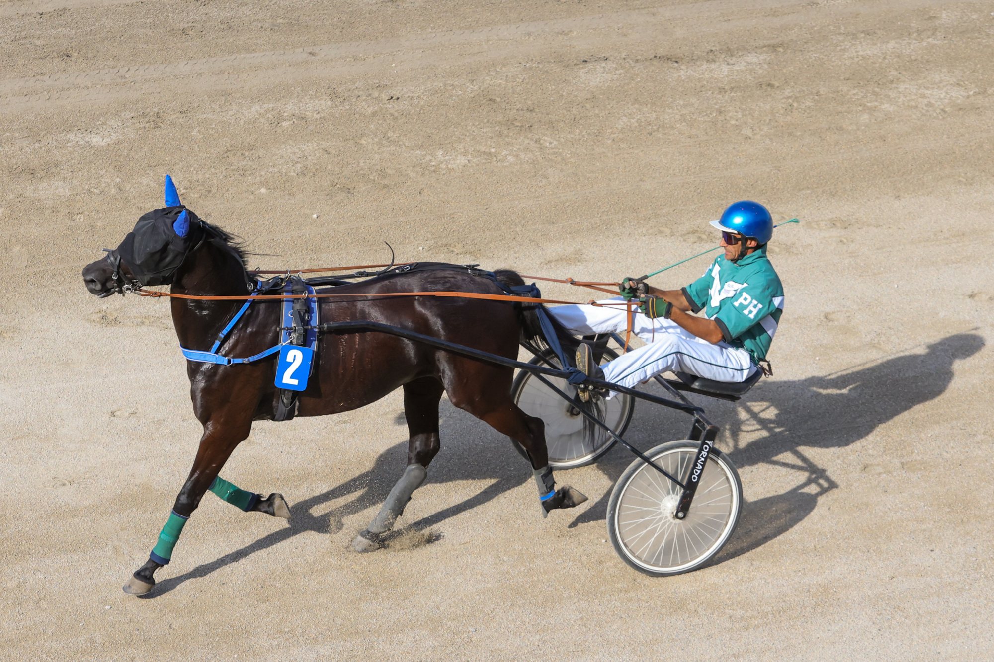 Dark bay trotting horse wearing blue number 2 harness pulling a two‑wheeled sulky with a person in green silks and a blue helmet on a dirt racetrack.