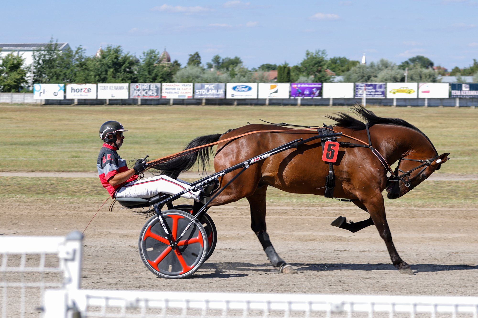 Bay trotting horse wearing race number 5 pulling a two‑wheeled sulky along the dirt track at Subotica hippodrome, side view.